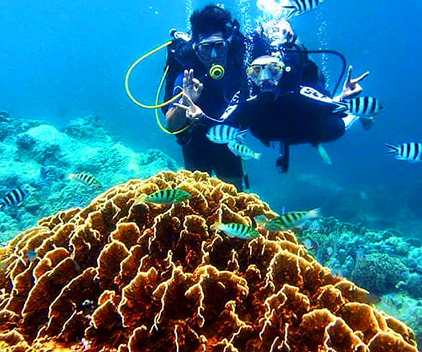 activity_detail_image