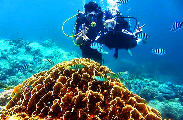 나트랑 혼땀섬 코랄리프 스쿠버 다이빙 투어 (WAUG Exclusive)
