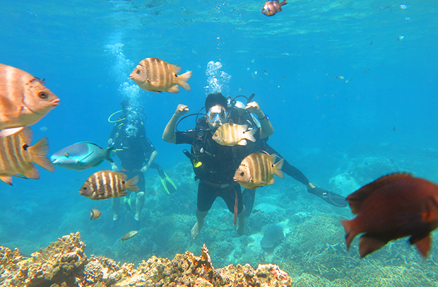 나트랑 혼땀섬 코랄리프 스쿠버 다이빙 투어 (WAUG Exclusive)