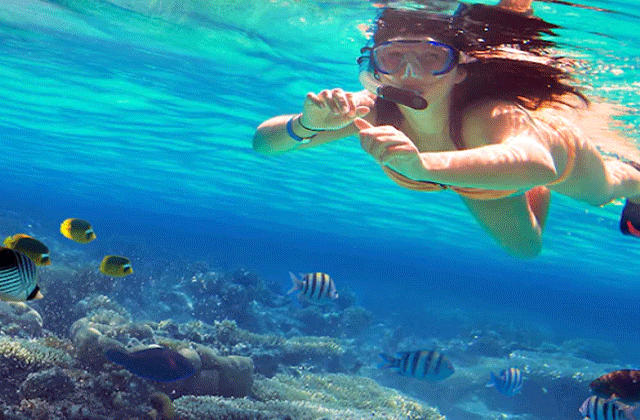 세부 더마크 크루즈 럭셔리 요트 호핑투어