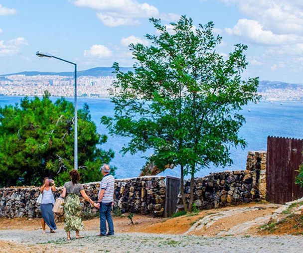 activity_detail_image