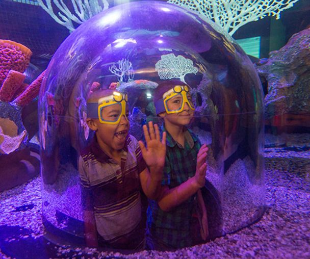 activity_detail_image