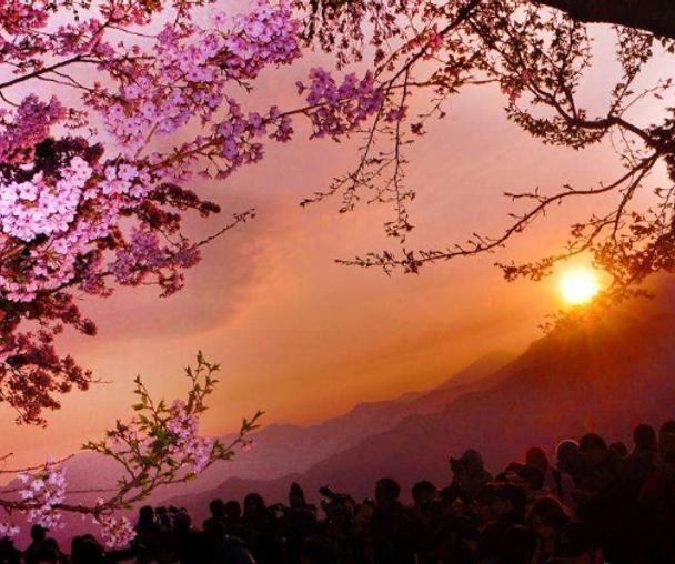 activity_detail_image