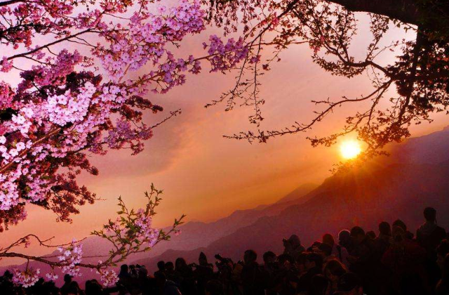 阿里山国家森林遊楽区 入場チケット