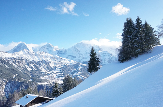 융프라우 등정과 두발로 느끼는 알프스 하이킹 투어