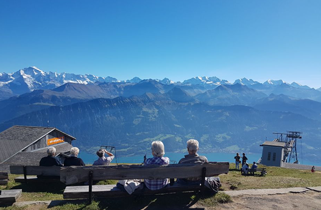 원하는대로! 한국인 가이드와 스위스 단독 투어