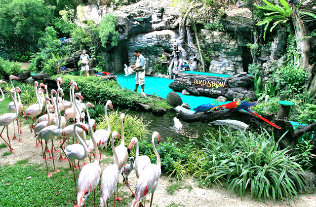 バンコク・サファリワールド