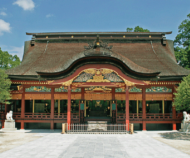 activity_detail_image