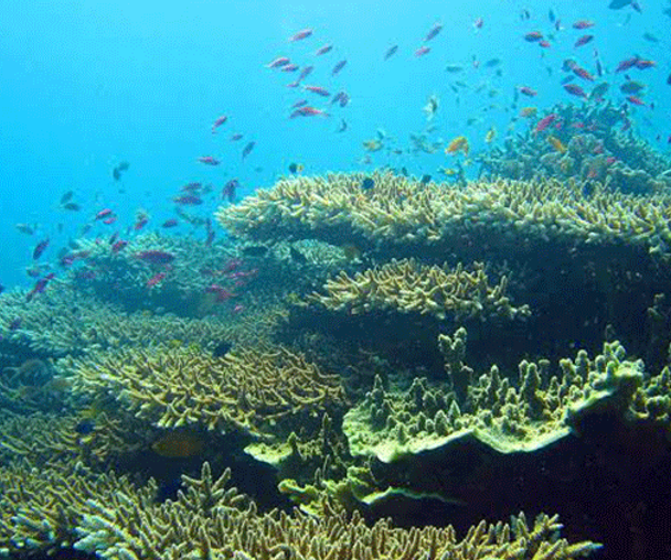 activity_detail_image