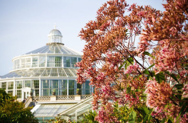 Copenhagen Card: Access 80+ Attractions & Public Transport