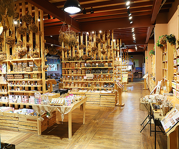 activity_detail_image