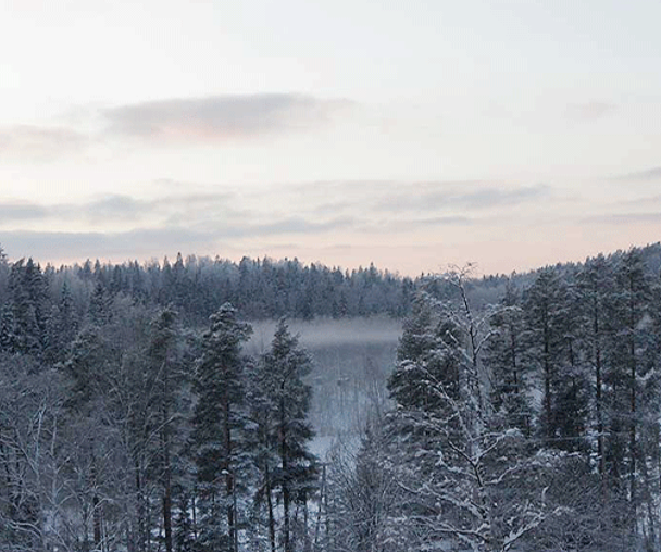 activity_detail_image