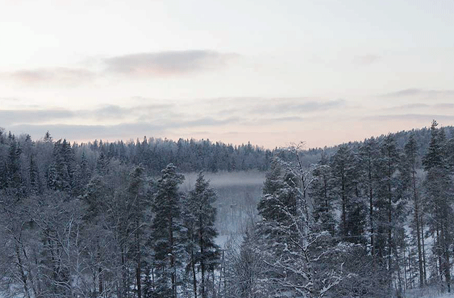 Nuuksio National Park Hiking Tour (From Helsinki)