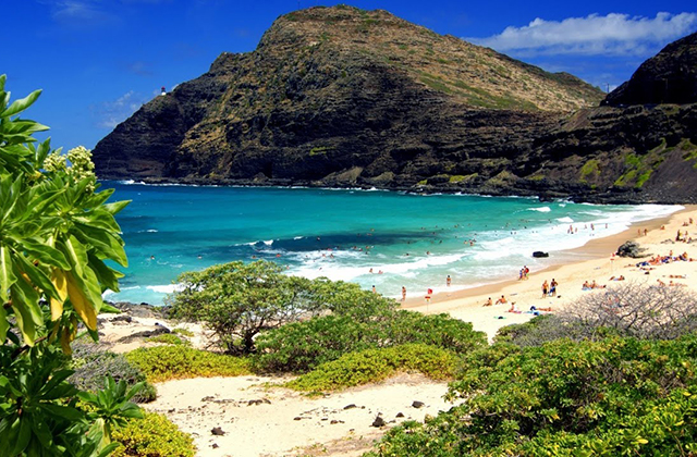 하와이 BIG섬 빅아일랜드 일일 투어 (항공권, 현지 픽업 선택 가능)