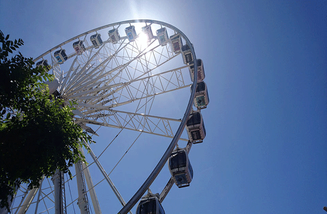 ケープタウン The Cape Wheel チケット