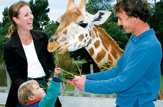 크라이스트처치 오라나 와일드라이프 파크 입장권