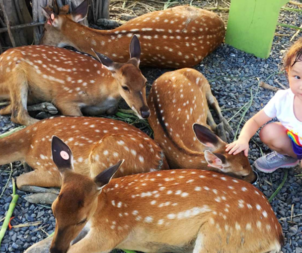 activity_detail_image