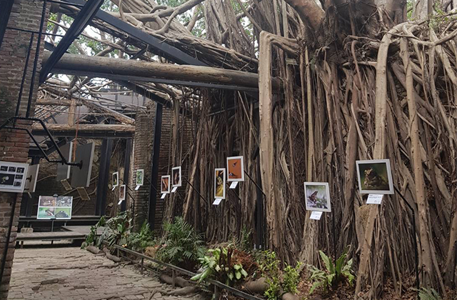 가오슝 출발: 타이난 일일 투어 (한국어 가이드)