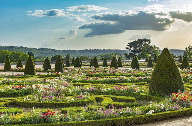 [톡투유] 지베르니 + 루앙 & 고흐 마을 투어 - 명화 집중 투어