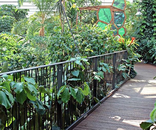 activity_detail_image