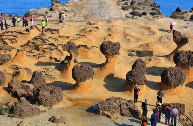 [JJ투어] 대만 예스진지 + 허우통 택시투어