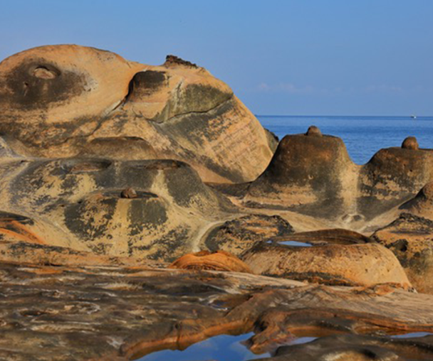 activity_detail_image