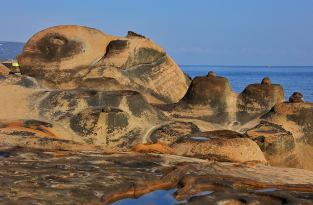 [JJ투어] 대만 예스폭진지 + 수이난동 택시투어