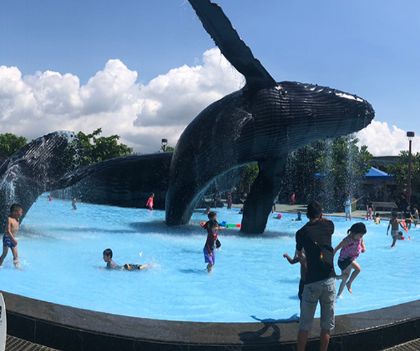 activity_detail_image