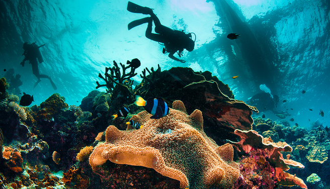 Boracay Try Dive