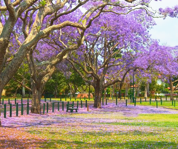 activity_detail_image