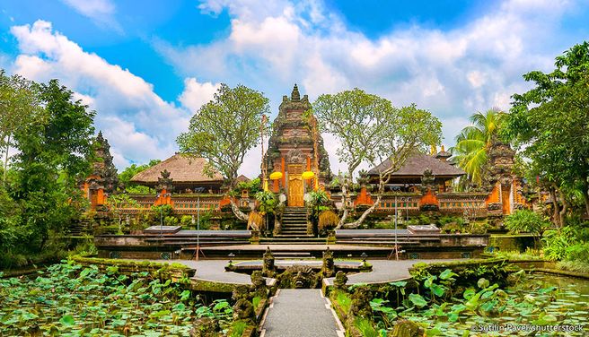 Bali ALL-IN Ubud Check-Out Tour (Dinner, Massage, Airport Transfer)