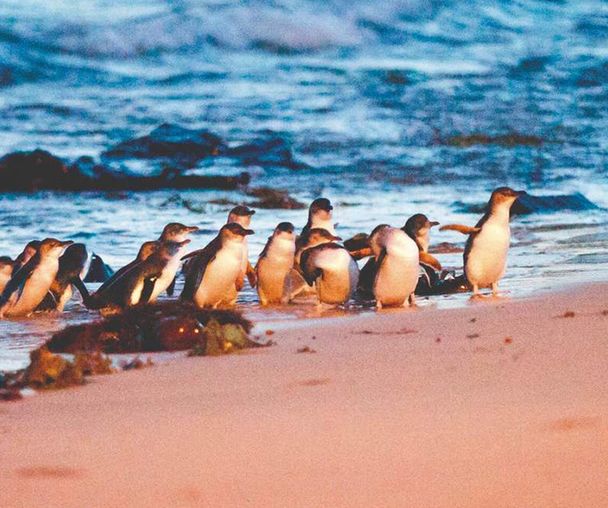 activity_detail_image