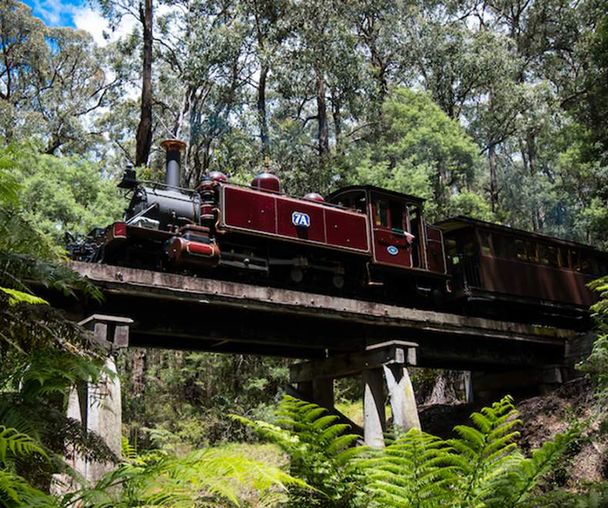 activity_detail_image