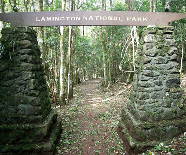 activity_detail_image