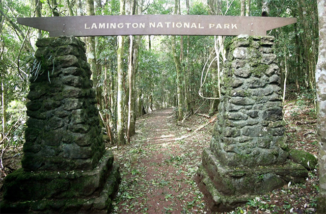 쥬라기공원 촬영지 래밍턴 국립공원 & 탬버린 마운틴 일일 투어