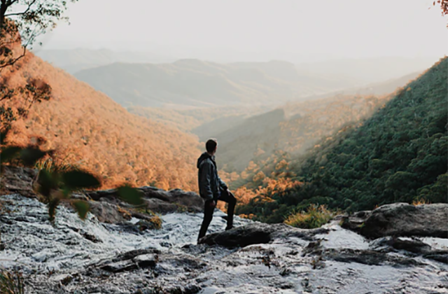 쥬라기공원 촬영지 래밍턴 국립공원 & 탬버린 마운틴 일일 투어