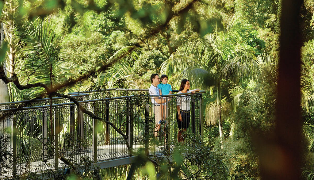 쥬라기공원 촬영지 래밍턴 국립공원 & 탬버린 마운틴 일일 투어