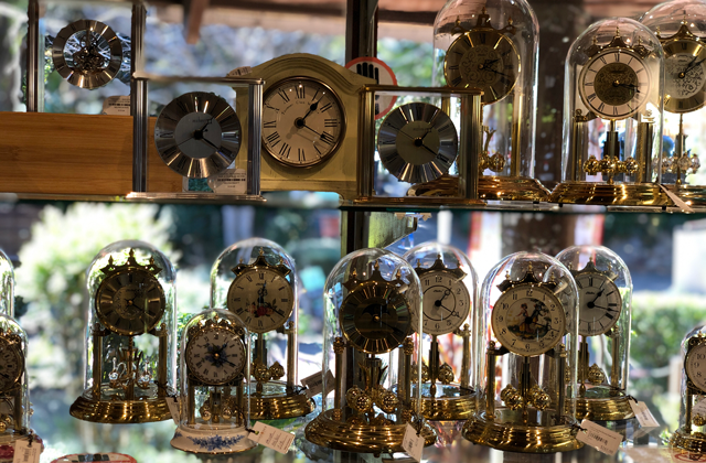 브리즈번 몬트빌 마을 & 선샤인 코스트 일일 투어