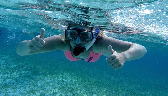 Sydney Manly & Shelly Beach Snorkeling Tour