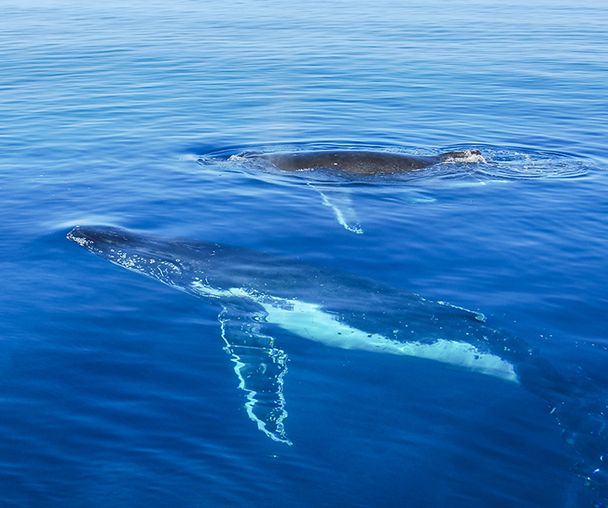 activity_detail_image