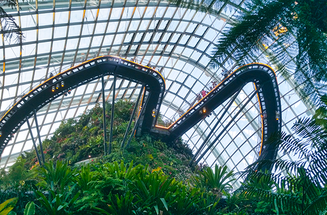 싱가포르 데이 투어 B코스 (머라이언 공원, 리버 원더스, 오차드, 부기스, 가든스, 스카이 파크)