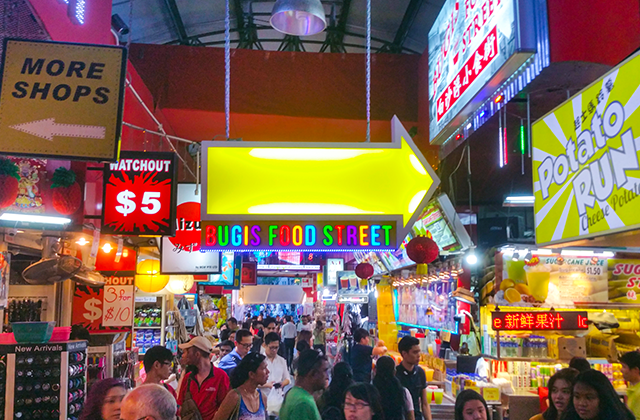 싱가포르 데이 투어 B코스 (머라이언 공원, 리버 원더스, 오차드, 부기스, 가든스, 스카이 파크)