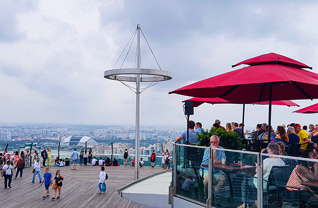 싱가포르 데이 투어 B코스 (머라이언 공원, 리버 원더스, 오차드, 부기스, 가든스, 스카이 파크)