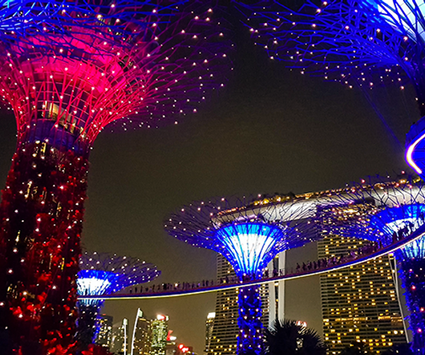 activity_detail_image