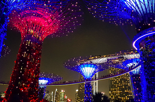 싱가포르 먹방 (바쿠테) & 야경 투어 (한국인 가이드)