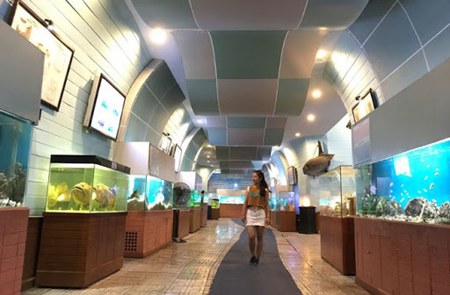 나트랑 시티 & 아이리조트 머드 온천 프라이빗 투어