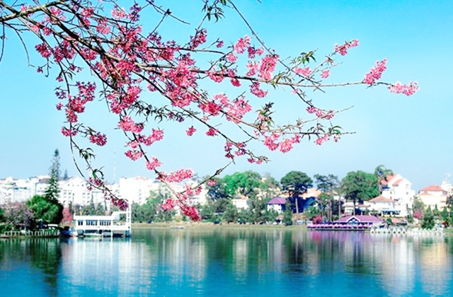 나트랑 출발: 달랏 일일 프라이빗 투어