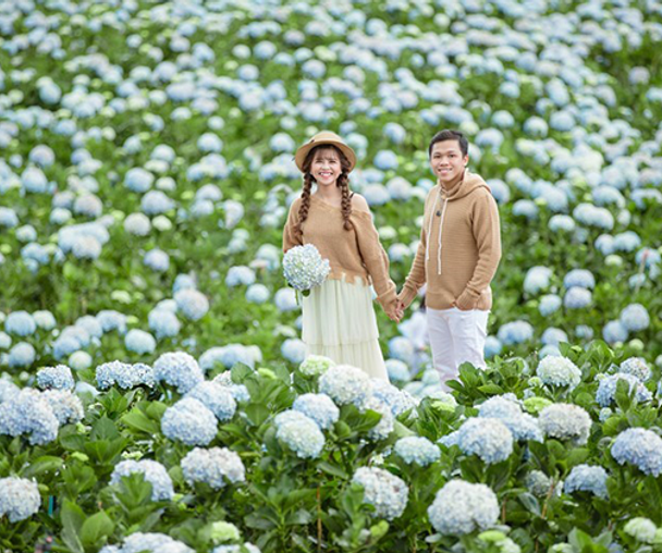 activity_detail_image