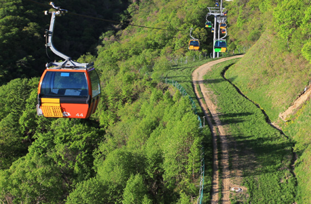 평창 모나용평리조트 발왕산 케이블카 + 스카이워크 전망대 입장권