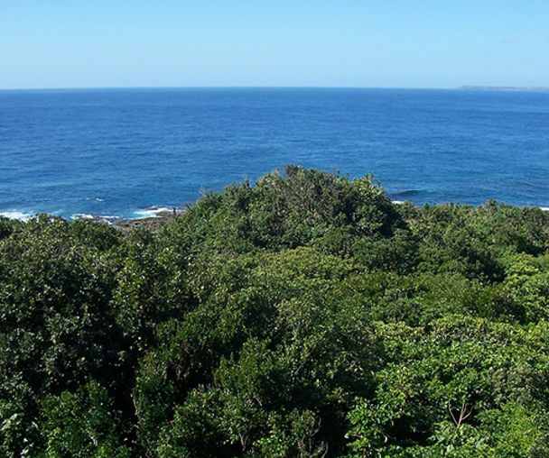 activity_detail_image